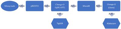 Functional Enrichment and Analysis of Antigen-Specific Memory B Cell Antibody Repertoires in PBMCs